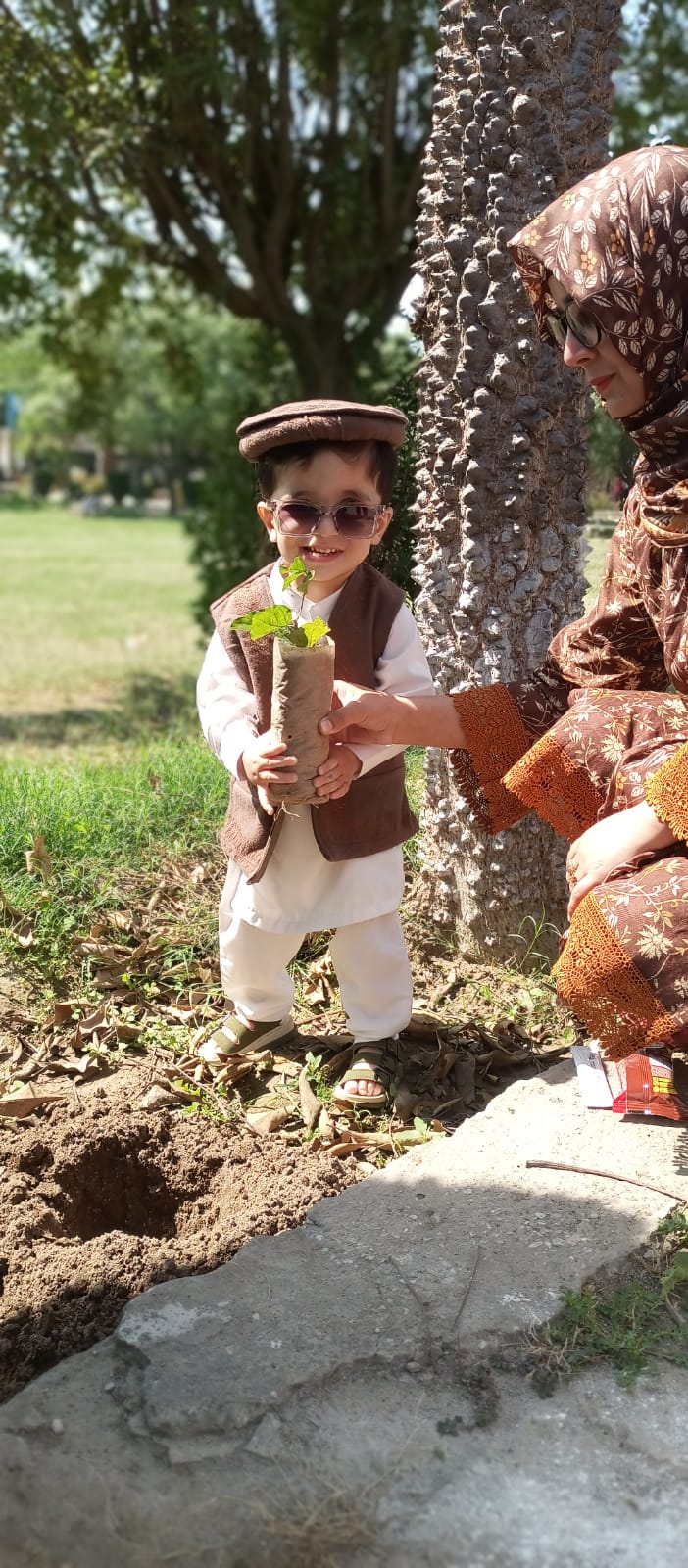 tree Plantation Compaign 